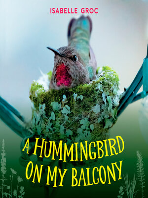 cover image of A Hummingbird on My Balcony